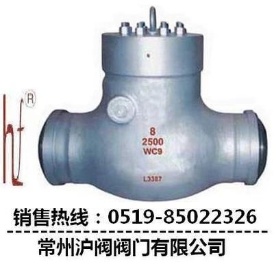 止回閥圖片|止回閥樣板圖|電站止回閥廠(chǎng)家-常州滬閥閥門(mén)