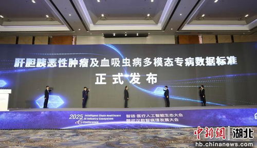2025智鏈醫(yī)療人工智能生態(tài)大會啟幕，智能技術驅(qū)動醫(yī)療健康新未來